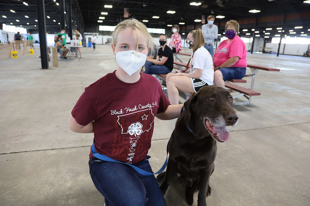 4-h Dog Obedience.JPG